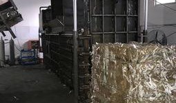 废纸箱最新爆料视频,最新爆料视频深度解析